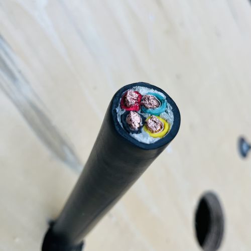 IMG_9523.jpg IMG_9523.jpg