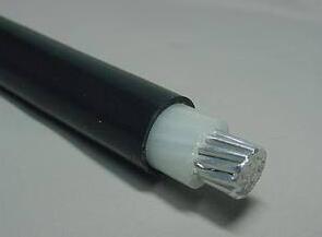 201703211754487840 201703211754487840