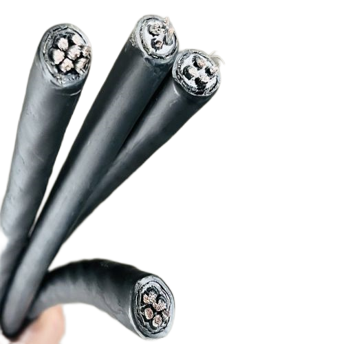 202411131555182422 202411131555182422