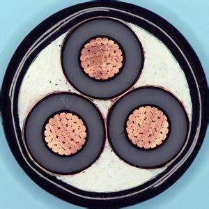 K8������(�й�)����Ӯ�ҡ�һ������