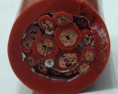 K8·凯发(中国)天生赢家·一触即发