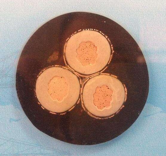 K8·凯发(中国)天生赢家·一触即发