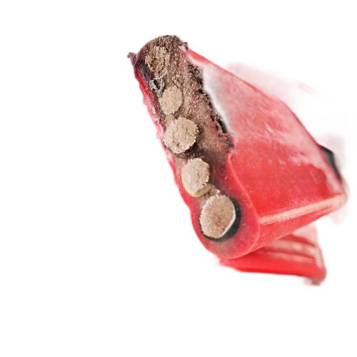 K8·凯发(中国)天生赢家·一触即发