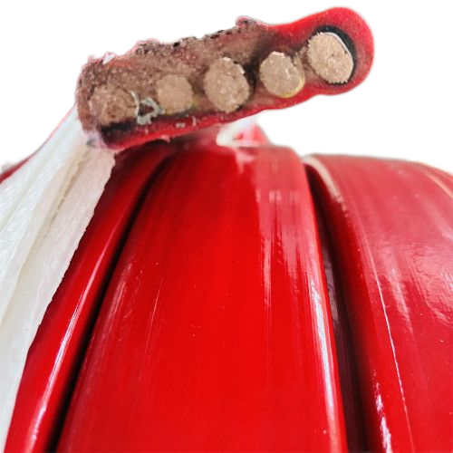 K8������(�й�)����Ӯ�ҡ�һ������