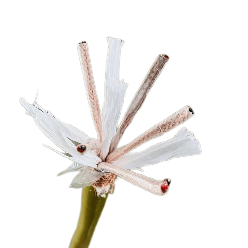 K8·凯发(中国)天生赢家·一触即发