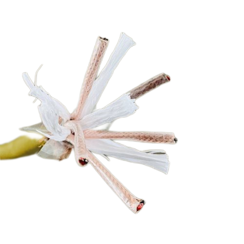 K8·凯发(中国)天生赢家·一触即发