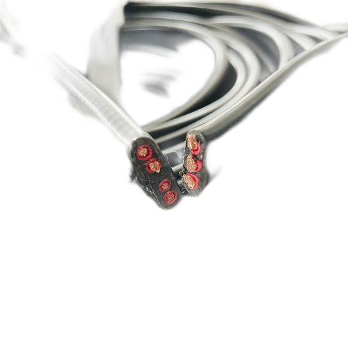 K8������(�й�)����Ӯ�ҡ�һ������