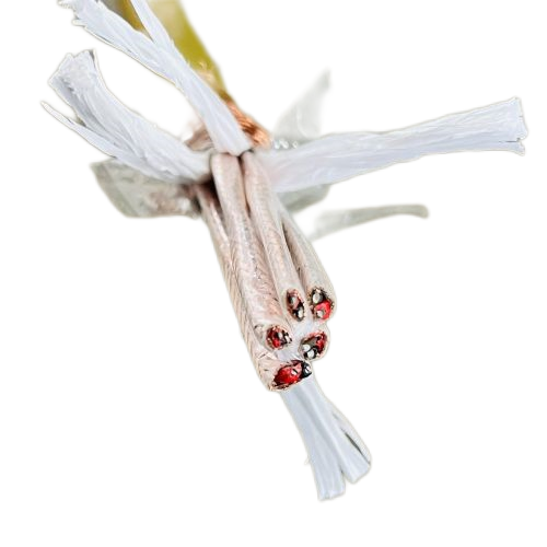 K8������(�й�)����Ӯ�ҡ�һ������