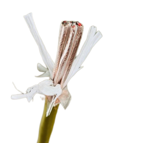 K8������(�й�)����Ӯ�ҡ�һ������