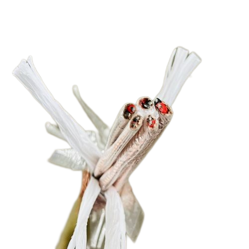 K8·凯发(中国)天生赢家·一触即发