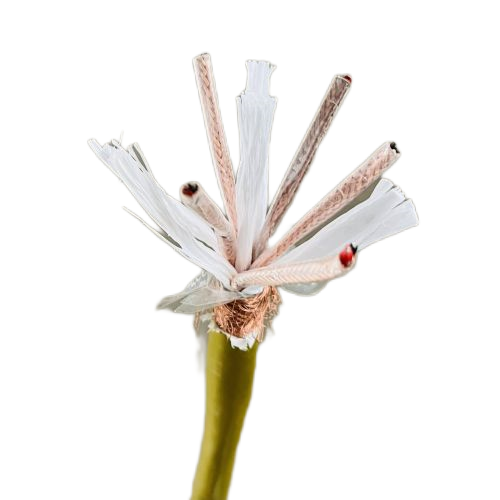 K8·凯发(中国)天生赢家·一触即发