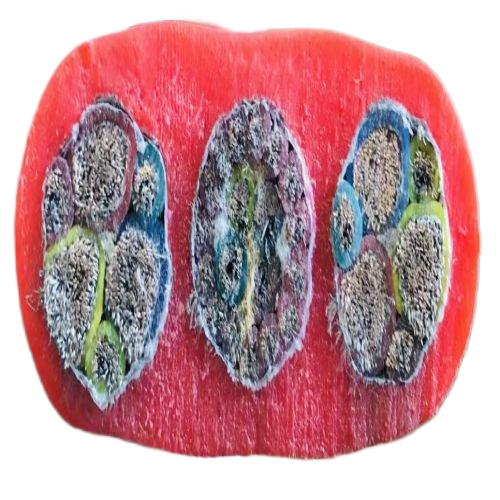 K8·凯发(中国)天生赢家·一触即发