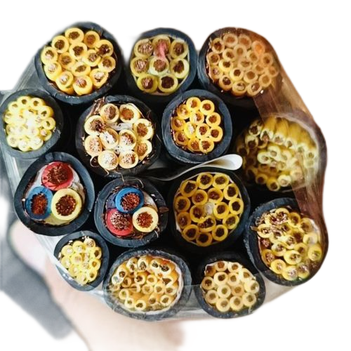 K8������(�й�)����Ӯ�ҡ�һ������