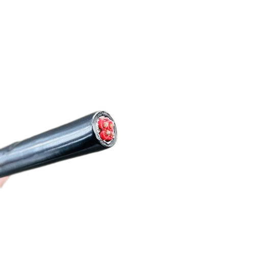 K8������(�й�)����Ӯ�ҡ�һ������