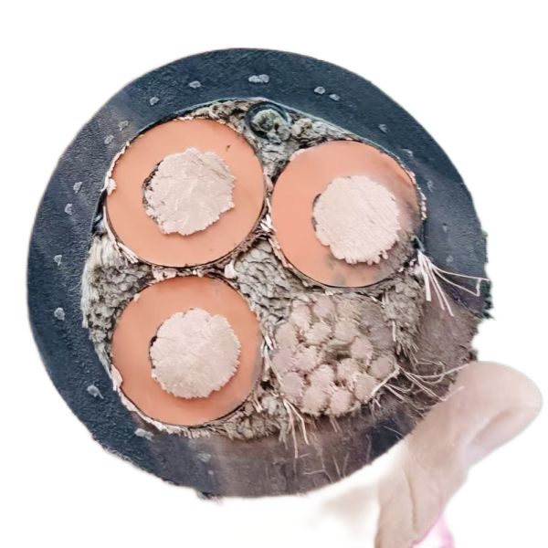 K8·凯发(中国)天生赢家·一触即发