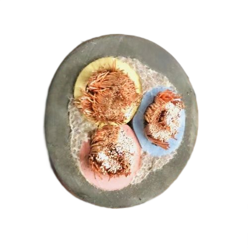 K8·凯发(中国)天生赢家·一触即发