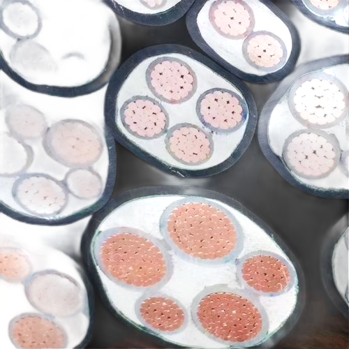 K8������(�й�)����Ӯ�ҡ�һ������