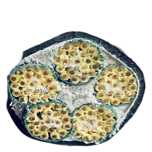 K8·凯发(中国)天生赢家·一触即发