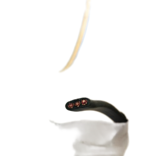 K8·凯发(中国)天生赢家·一触即发