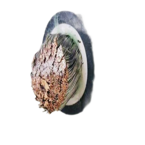 K8·凯发(中国)天生赢家·一触即发