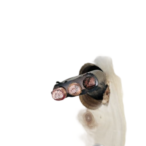 K8·凯发(中国)天生赢家·一触即发