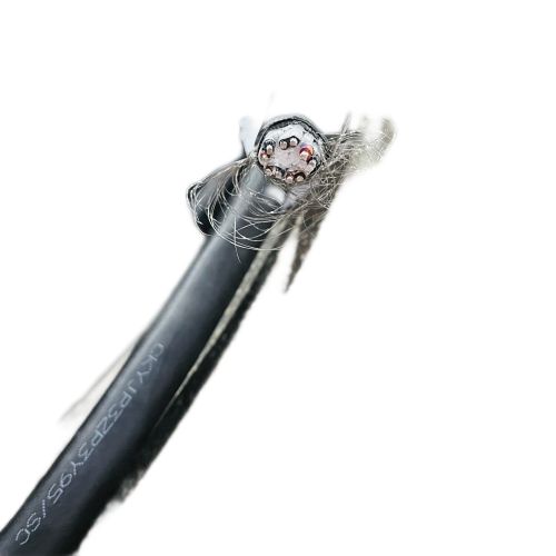 K8·凯发(中国)天生赢家·一触即发