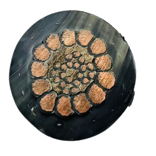 K8·凯发(中国)天生赢家·一触即发