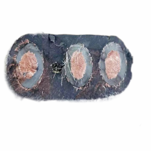 K8·凯发(中国)天生赢家·一触即发