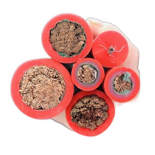 K8·凯发(中国)天生赢家·一触即发