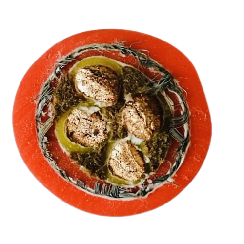 K8·凯发(中国)天生赢家·一触即发