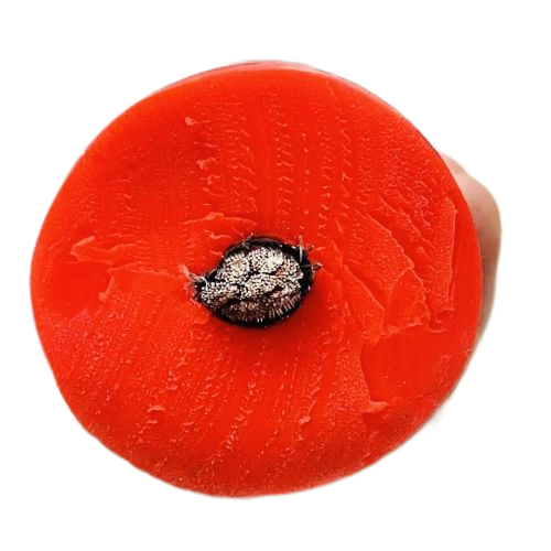 K8·凯发(中国)天生赢家·一触即发