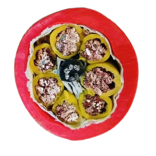 K8·凯发(中国)天生赢家·一触即发