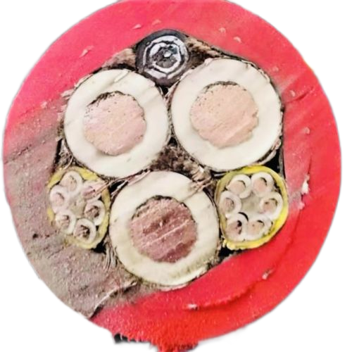 K8·凯发(中国)天生赢家·一触即发