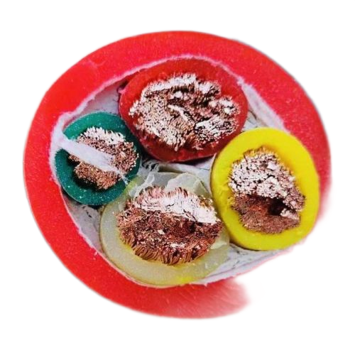 K8·凯发(中国)天生赢家·一触即发