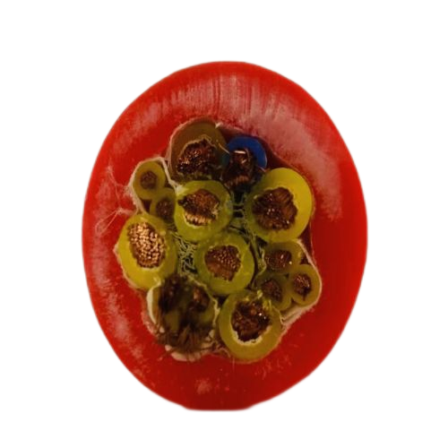 K8·凯发(中国)天生赢家·一触即发