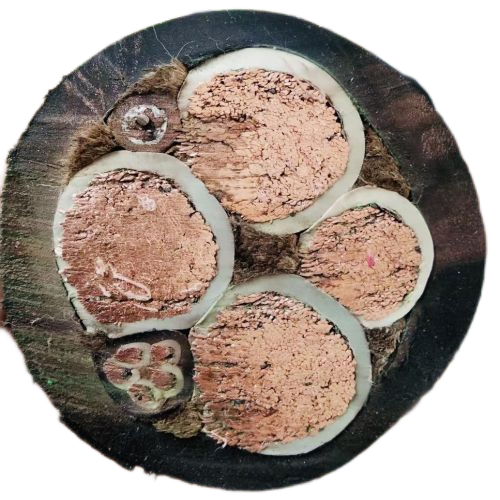 K8·凯发(中国)天生赢家·一触即发