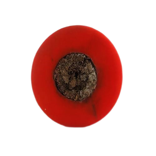 K8·凯发(中国)天生赢家·一触即发